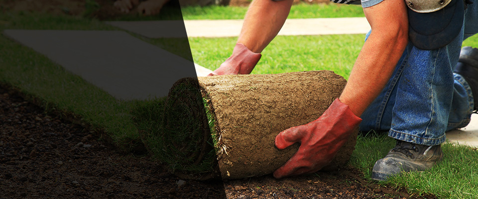 Port Deposit Landscapers